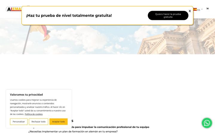 Screenshot of alemanondemand.com