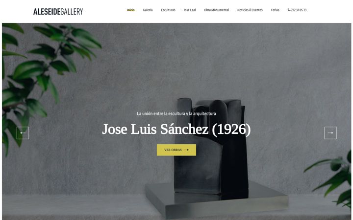 Screenshot of aleseidegallery.com