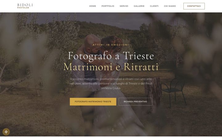 Screenshot of alessandrobidoli.com