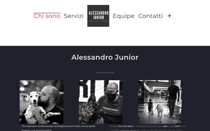 Screenshot of alessandrojunior.it