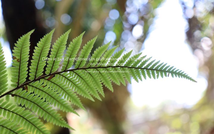 Screenshot of aletatnaturel.fr