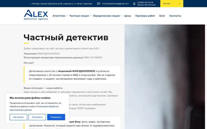Snímek obrazovky alex-detective.ru