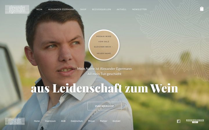 Screenshot of alexander-egermann.at
