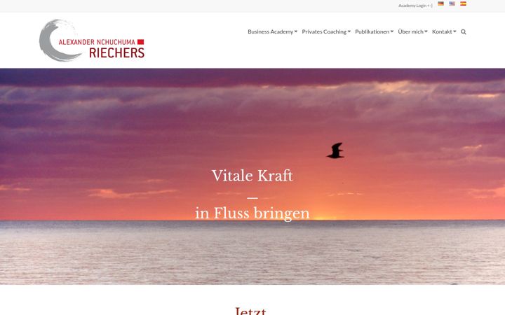 Screenshot of alexanderriechers.com