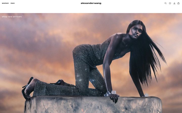 Screenshot of alexanderwang.com