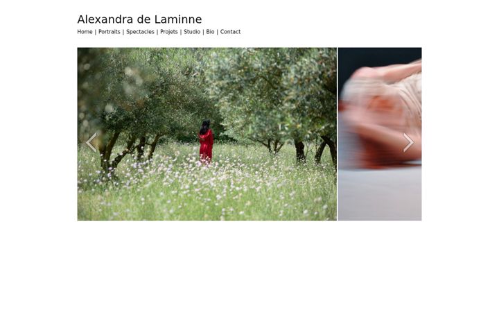 Screenshot di alexandradelaminne.com