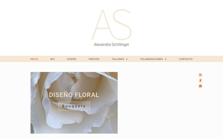 Skærmbillede af alexandraschillinger.com