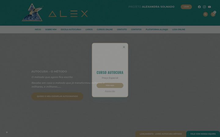 Screenshot of alexandrasolnado.com