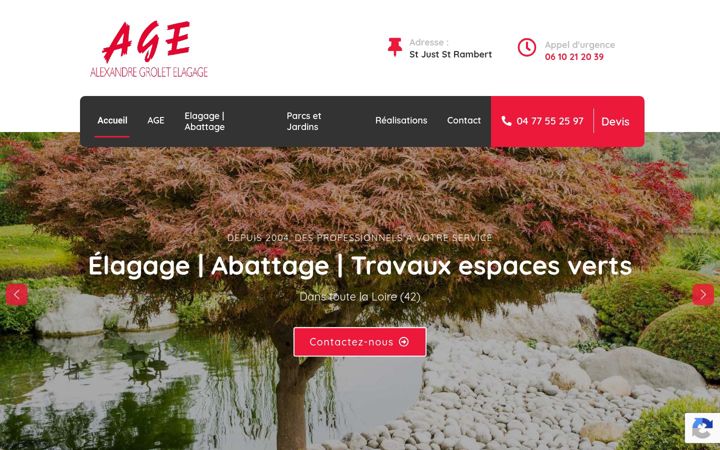 Screenshot of alexandre-grolet-elagage.fr
