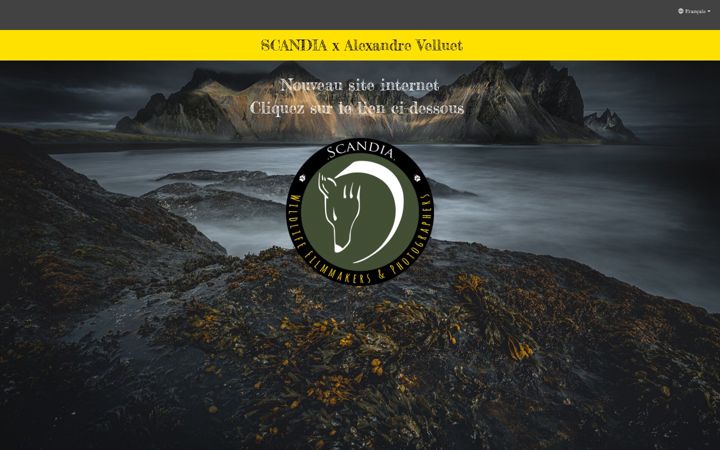 Screenshot of alexandre-velluet.com