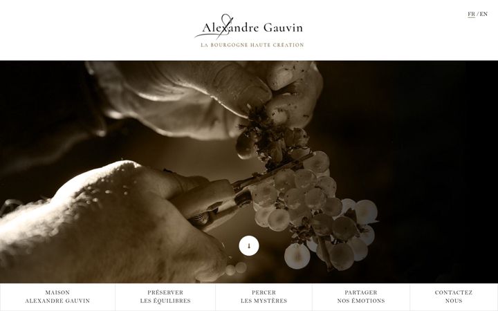 Screenshot of alexandregauvin.fr