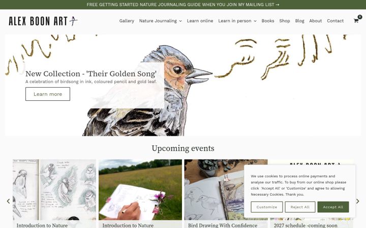 Screenshot ta' alexboonart.com