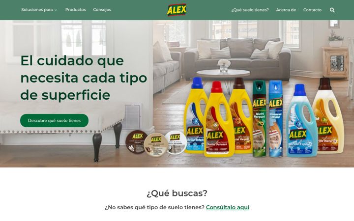 Zrzut ekranu alexcuidatuhogar.com