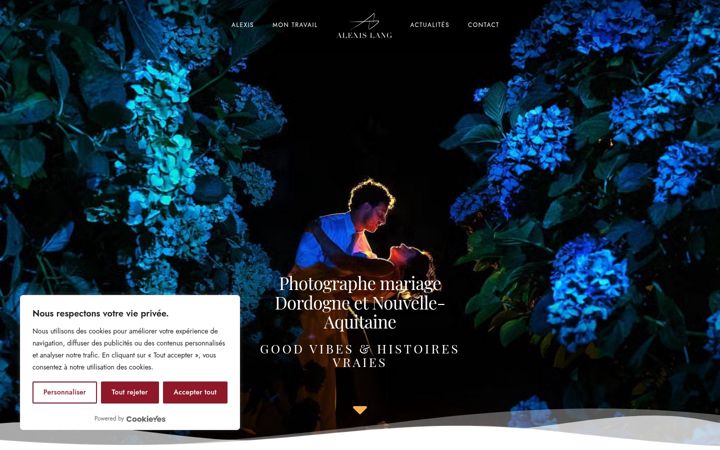 Screenshot of alexislang.com