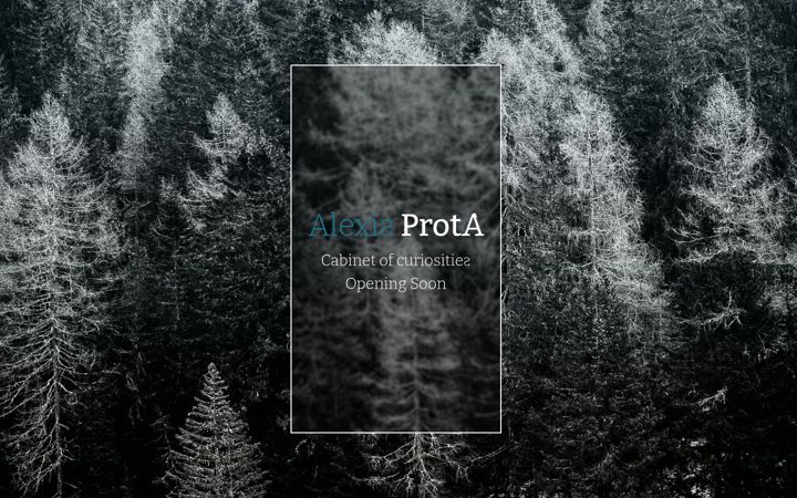 Screenshot of alexisprota.com