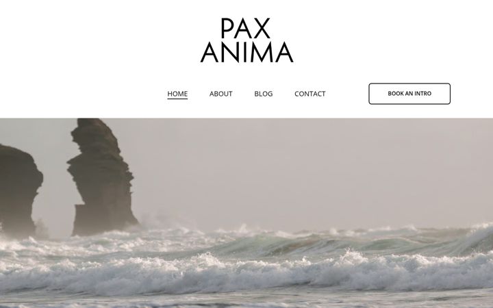 Screenshot of alexlupanow.com