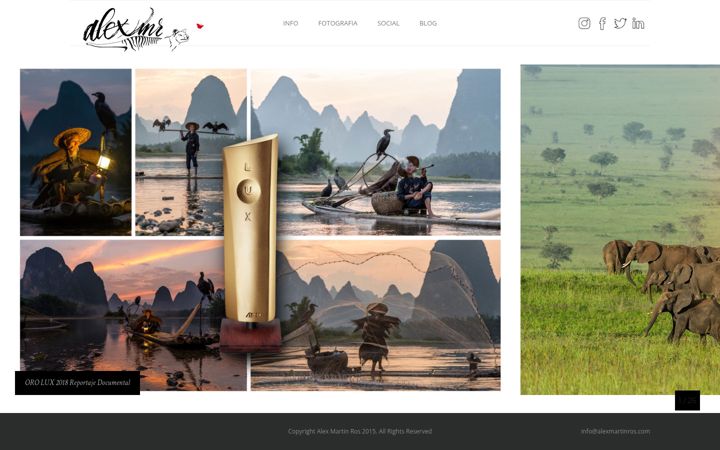 Screenshot of alexmartinros.com