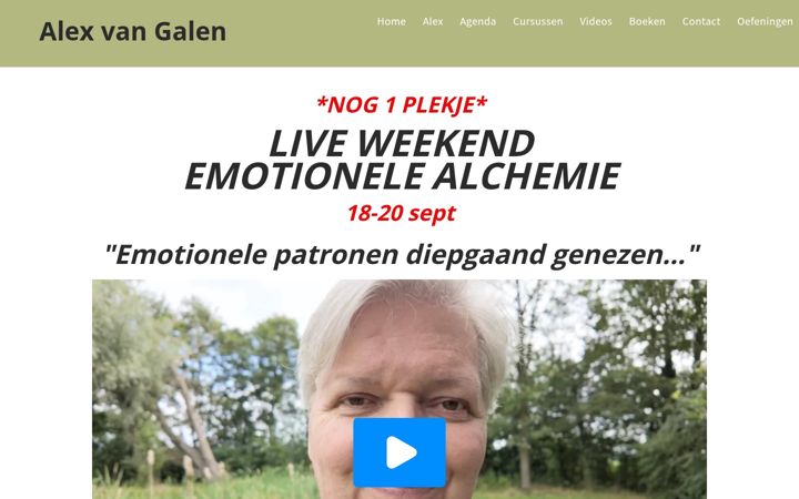 Screenshot of alexvangalen.com