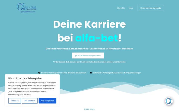 Screenshot of alfabet-jobs.de