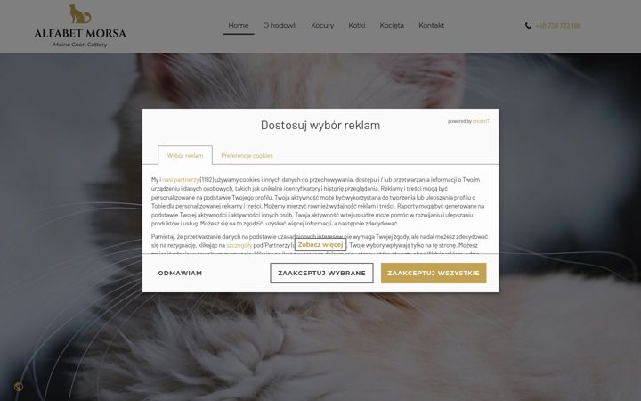 Screenshot of alfabetmorsa.eu