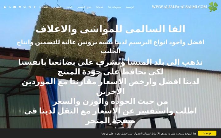 Screenshot of alfalfa-alsalmi.com