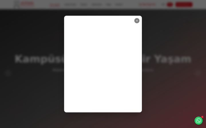 Screenshot of alfamcyprus.com