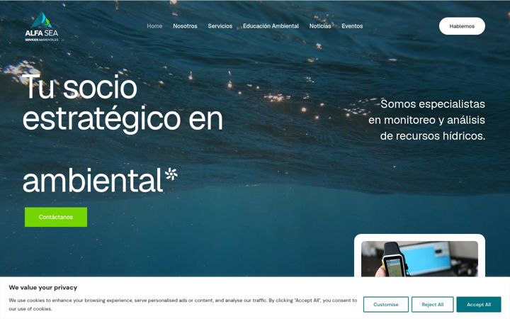 Screenshot of alfaseaservice.cl