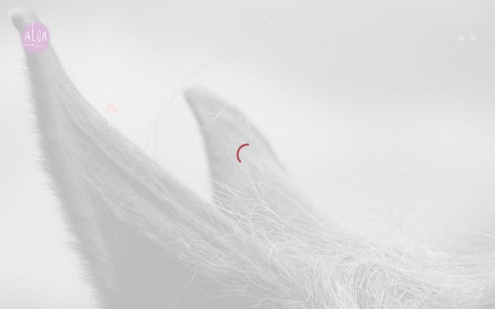 Screenshot ta' alga-mediation.fr