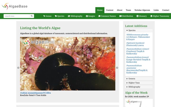 Screenshot of algaebase.org
