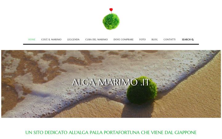 Screenshot of algamarimo.it