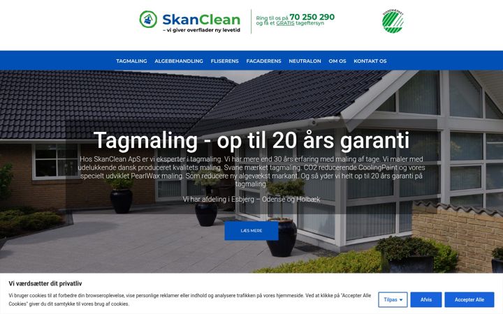 Screenshot of algefjerner.dk