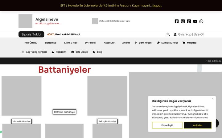Screenshot of algelsineve.com