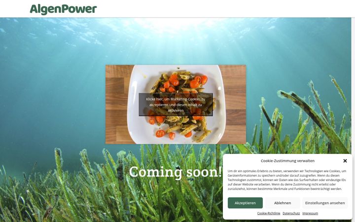 Screenshot of algen-power.de