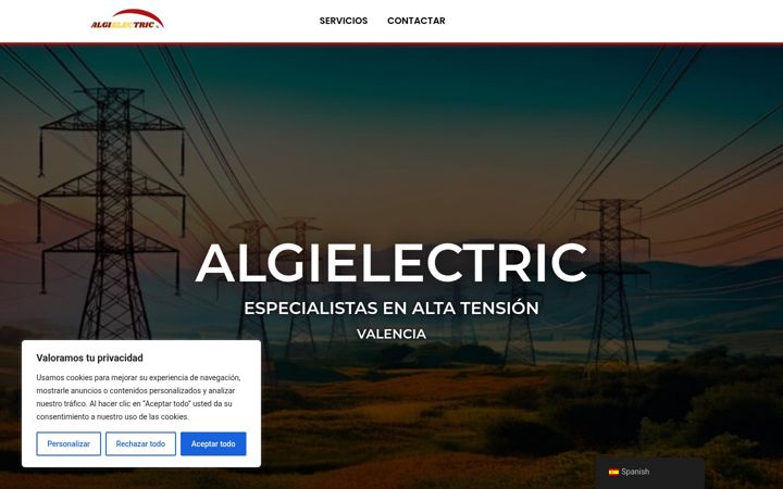 Screenshot of algielectric.com