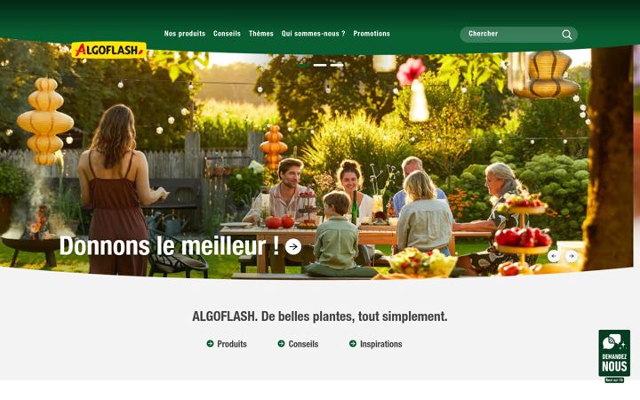 Screenshot of algoflash.fr