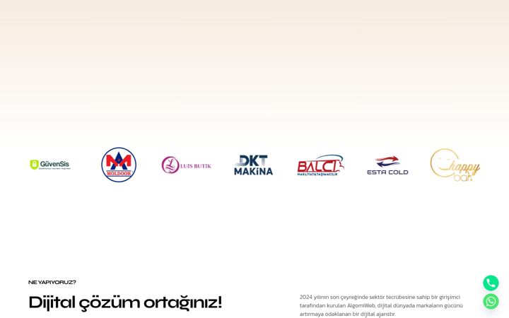 Snimka zaslona za algomiweb.com