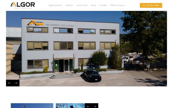 Screenshot of algorsrl.com