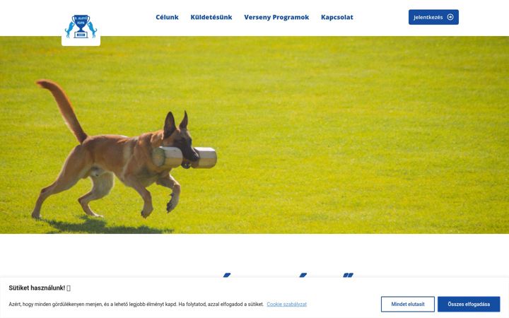 Screenshot of algyocup.hu