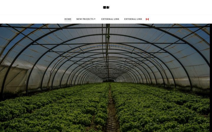 Posnetek zaslona alhazemiah.com