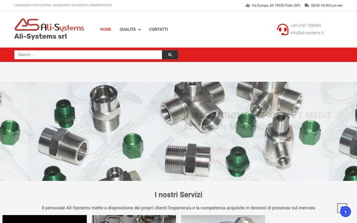 Screenshot of ali-systems.it