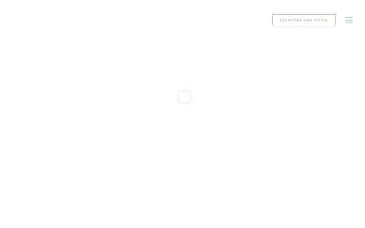 Screenshot of alicantepanoramic.com
