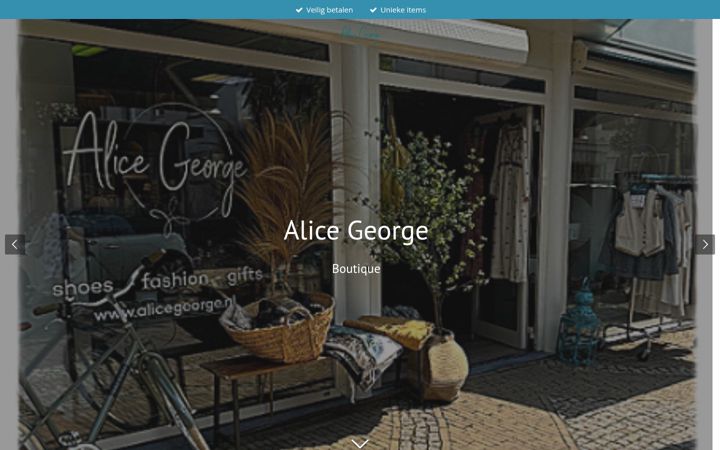 Screenshot of alicegeorge.nl