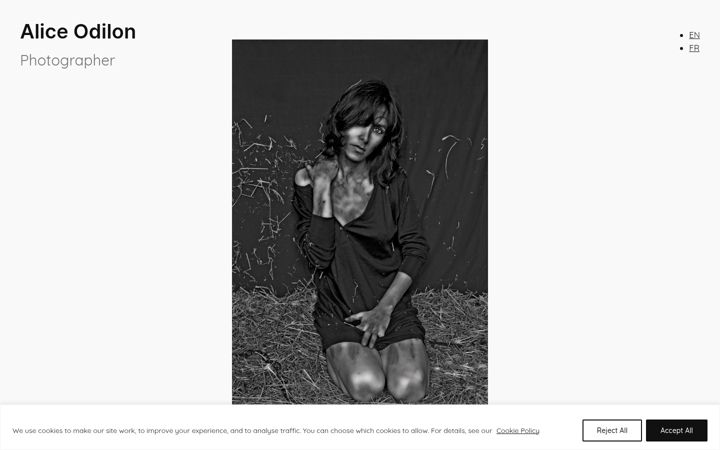 Screenshot of aliceodilon.com