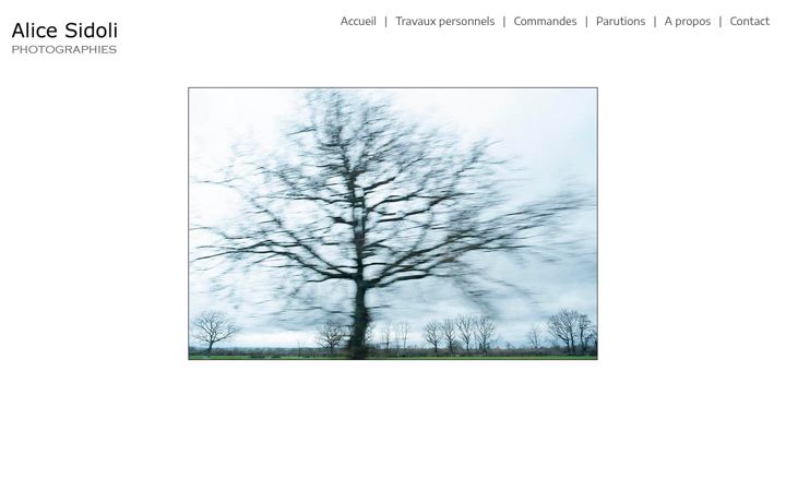 Screenshot of alicesidoli.com