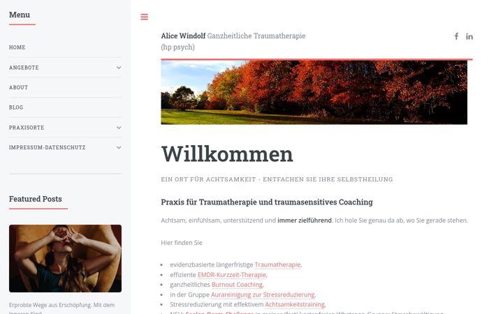 Screenshot of alicewindolf.de