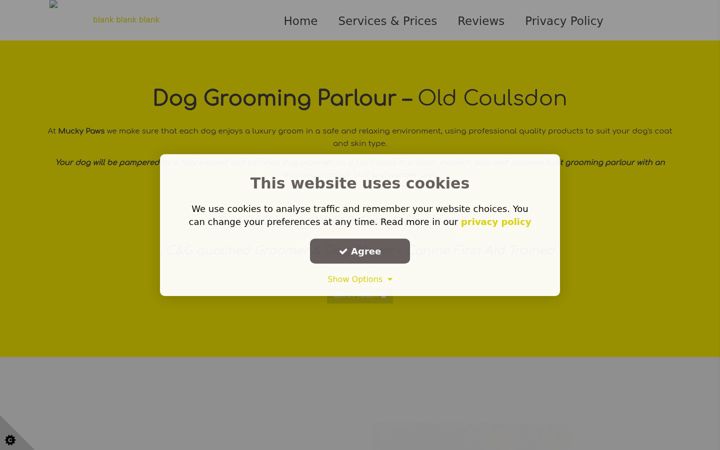 Screenshot of aliciacooke.com