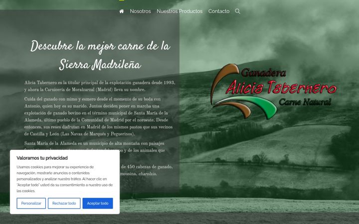 Kuvakaappaus sivustosta aliciatabernero.com