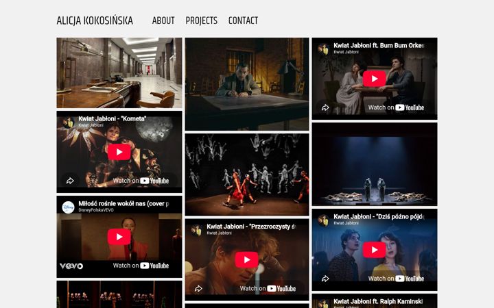 Screenshot of alicjakokosinska.com