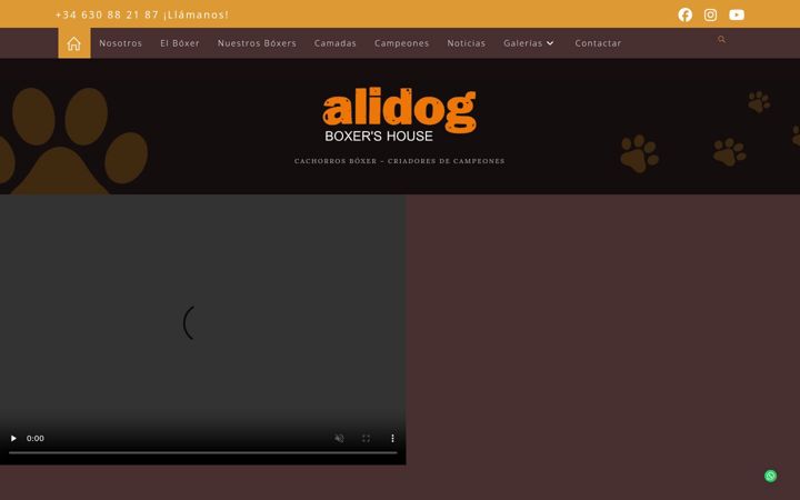 Screenshot di alidog.com