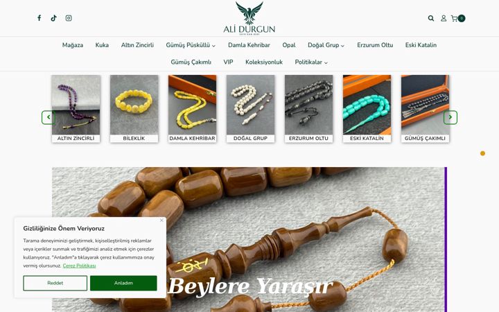 Screenshot of alidurguntesbih.com